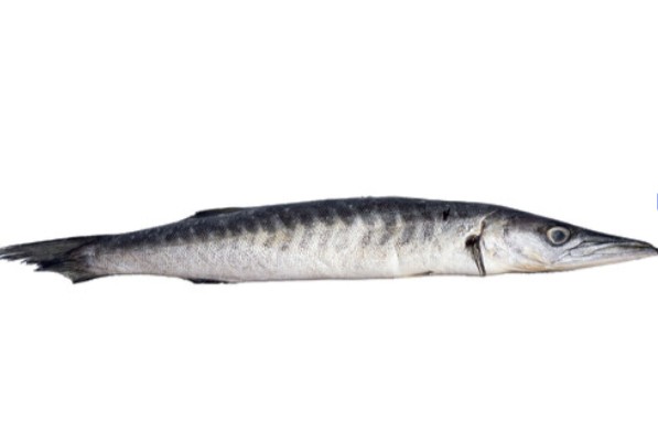 Poisson