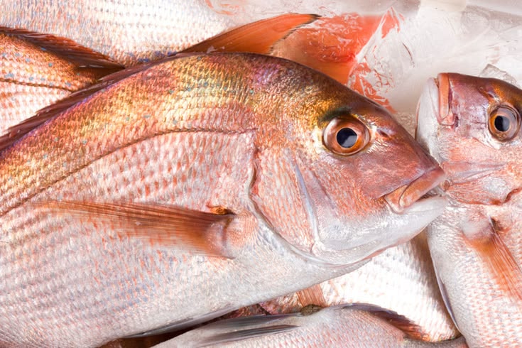 Poisson