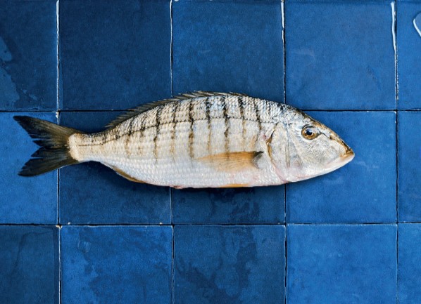 Poisson