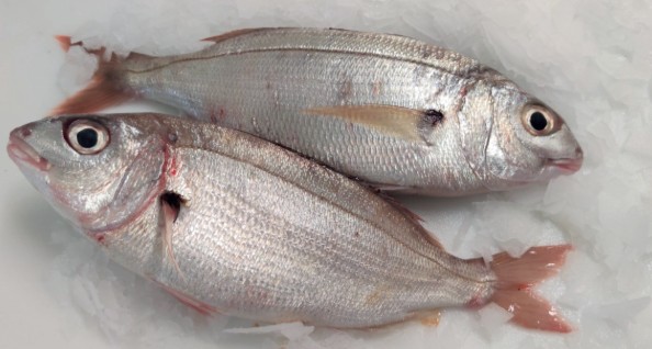 Poisson