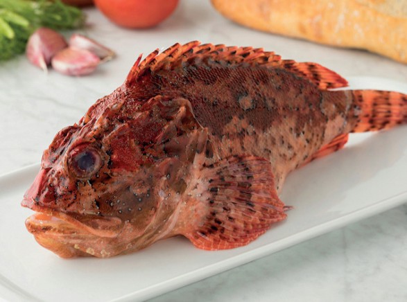 Poisson