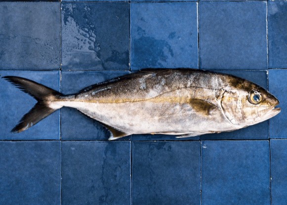 Poisson