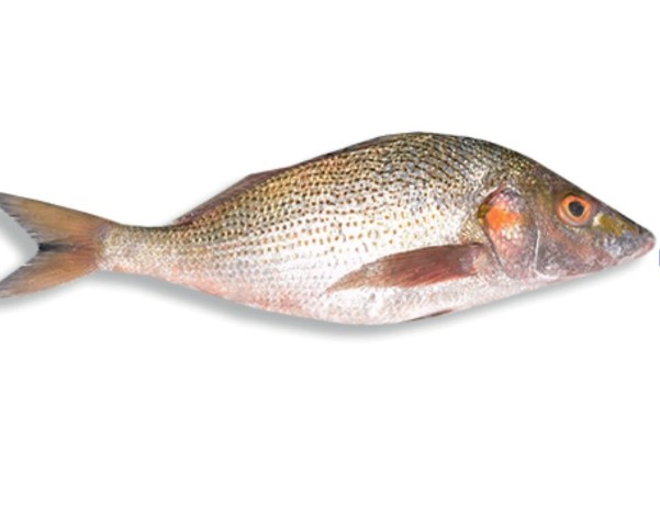 Poisson